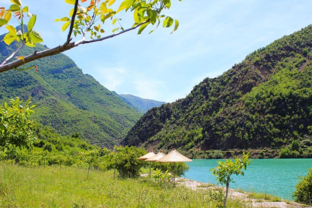 Agroturizem Hotel Vila Franceze Koman Bagian luar foto