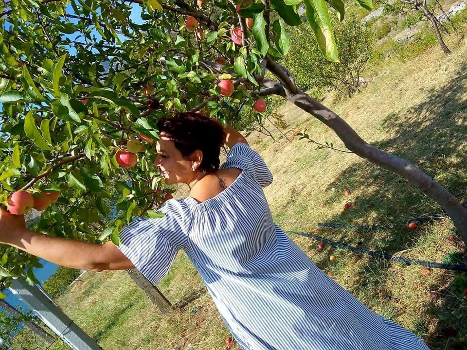 Agroturizem Hotel Vila Franceze Koman Bagian luar foto