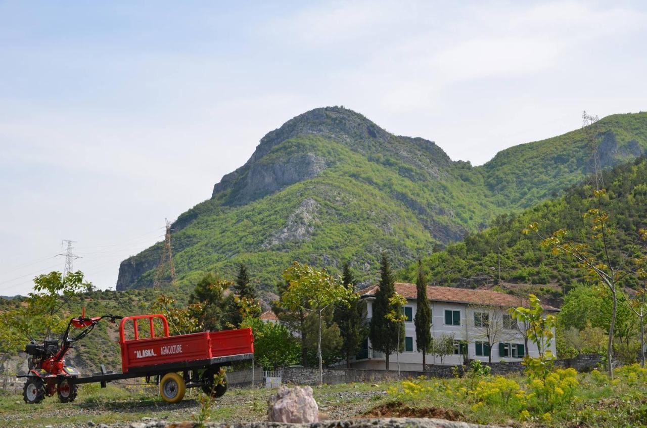 Agroturizem Hotel Vila Franceze Koman Bagian luar foto