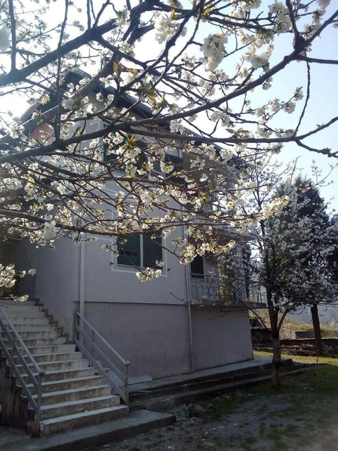 Agroturizem Hotel Vila Franceze Koman Bagian luar foto
