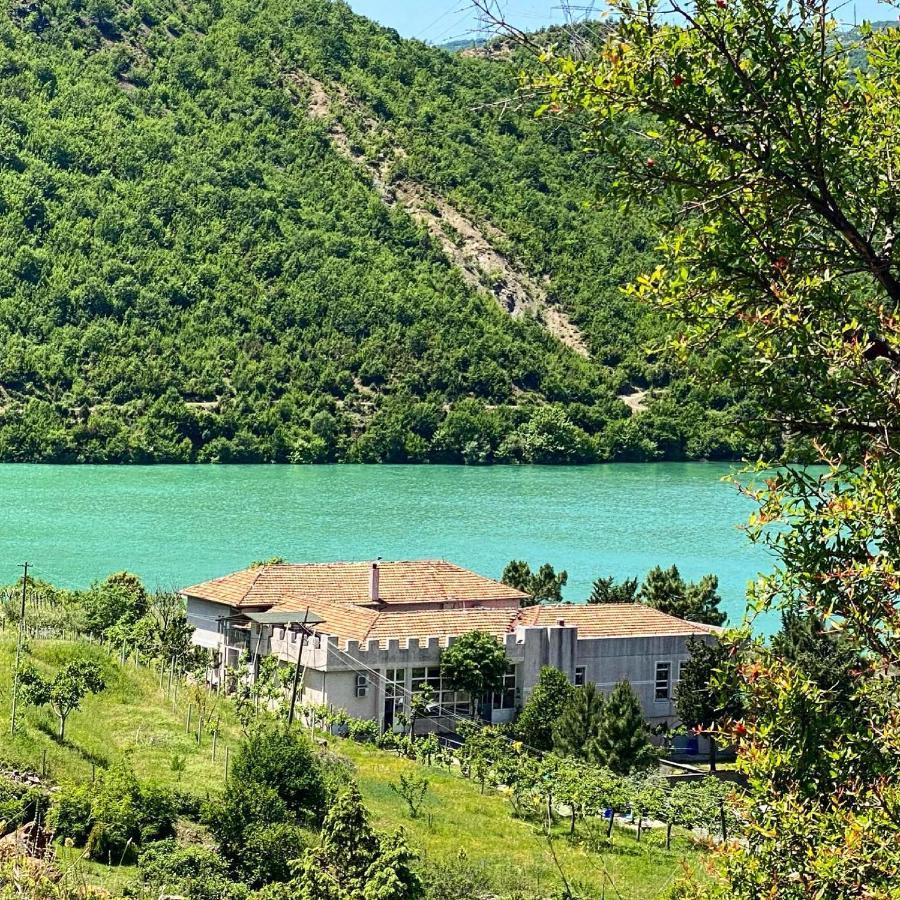 Agroturizem Hotel Vila Franceze Koman Bagian luar foto