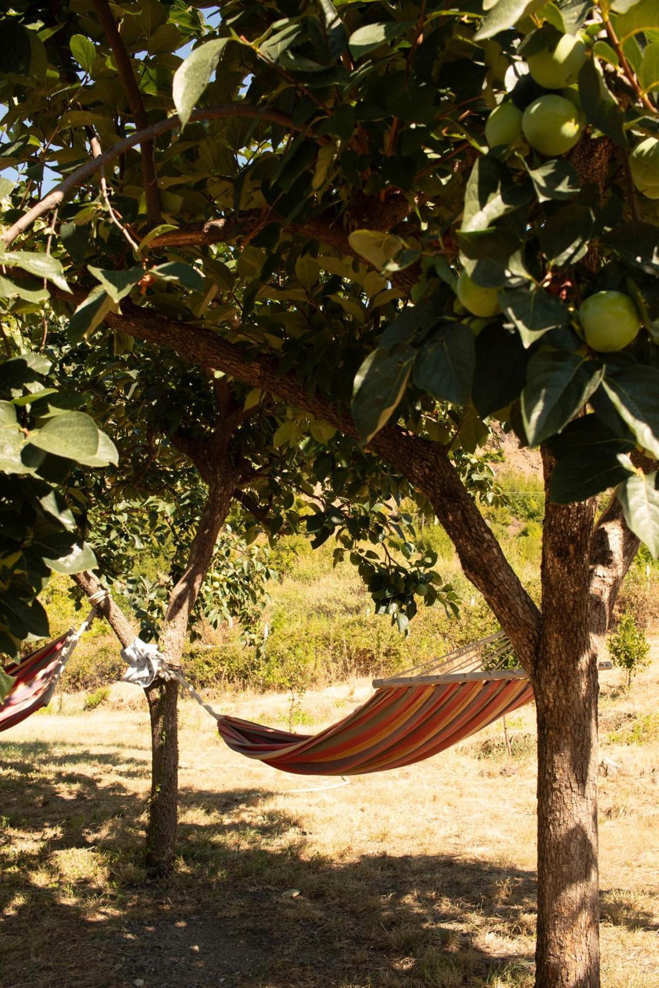 Agroturizem Hotel Vila Franceze Koman Bagian luar foto